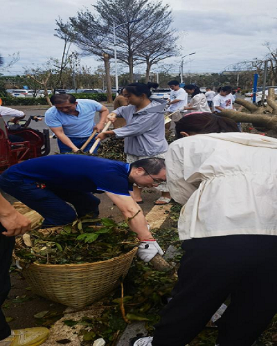 图片13.png 图片13.png